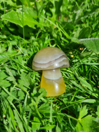 Fluorite mushroom 5