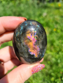 Labradoriet palmsteen 48