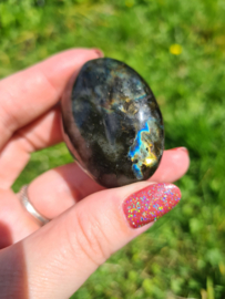 Labradoriet palmsteen 22