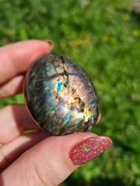 Labradoriet palmsteen 46