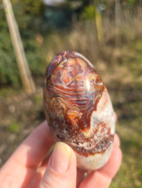 Crazy lace agaat shiva