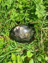 Labradoriet palmsteen 17