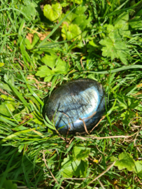 Labradoriet palmsteen 25