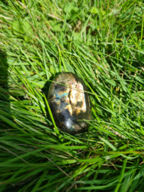 Labradoriet palmsteen 62