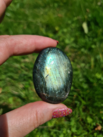 Labradoriet palmsteen 11