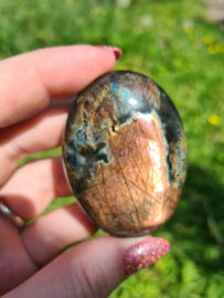 Labradoriet palmsteen 32