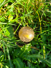 Rutile in quartz mini sphere 3