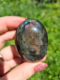 Labradoriet palmsteen 48