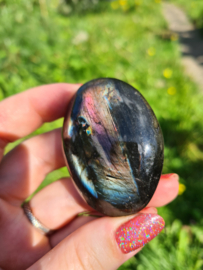 Labradoriet palmsteen 64