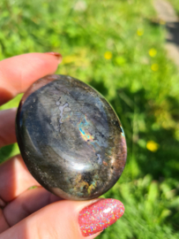 Labradoriet palmsteen 65