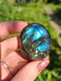 Labradoriet palmsteen 66