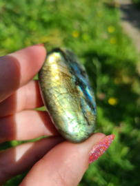 Labradoriet palmsteen 67