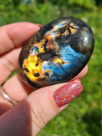 Labradoriet palmsteen 31