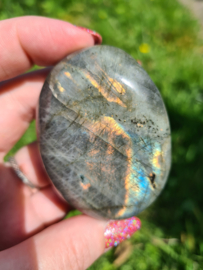 Labradoriet palmsteen 27