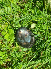 Labradoriet palmsteen 23