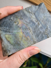 Labradorite half polished (green/rainbow)