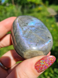 Labradoriet palmsteen 55