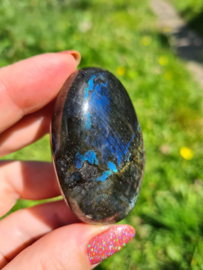 Labradoriet palmsteen 40