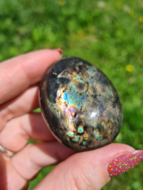 Labradoriet palmsteen 19