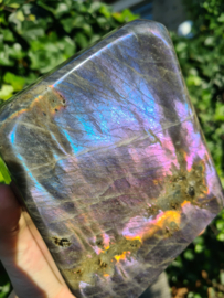 Labradoriet vrije vorm (paars/blauw)