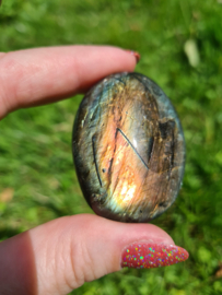 Labradoriet palmsteen 11