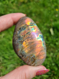 Labradoriet palmsteen 6