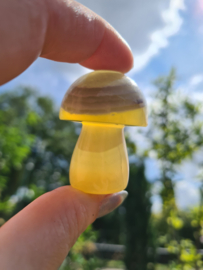 Fluorite mushroom 11