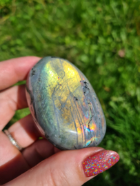 Labradoriet palmsteen 42