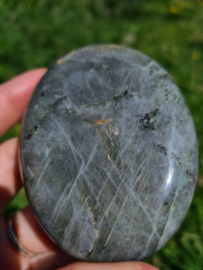 Labradoriet palmsteen 49