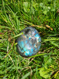 Labradoriet palmsteen 1