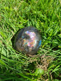 Labradoriet palmsteen 65