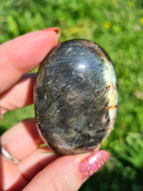 Labradoriet palmsteen 50