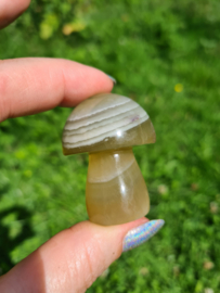 Fluorite mushroom 11