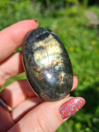 Labradoriet palmsteen 53