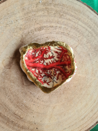 Schelpen decoratie 1
