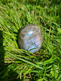 Labradoriet palmsteen 55