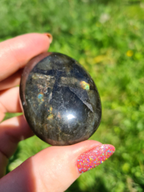 Labradoriet palmsteen 48