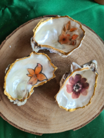 Schelpen decoratie setje 8
