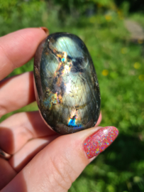 Labradoriet palmsteen 53