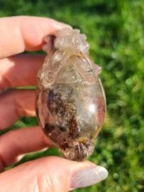 Lodoliet Dragon turtle 1