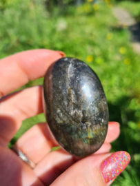 Labradoriet palmsteen 59