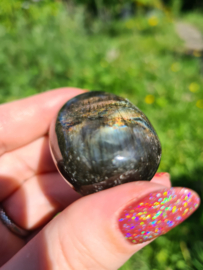 Labradoriet palmsteen 53