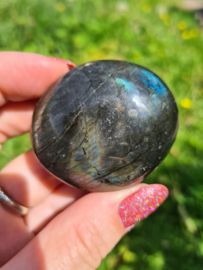 Labradoriet palmsteen 26