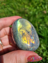 Labradoriet palmsteen 42