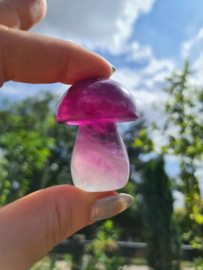 Fluorite mushroom 18
