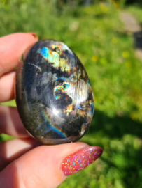 Labradoriet palmsteen 51