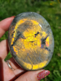 Labradoriet palmsteen 49