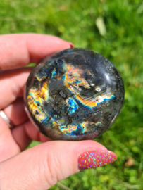 Labradoriet palmsteen 3