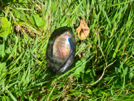 Labradoriet palmsteen 7