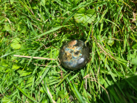 Labradoriet palmsteen 29